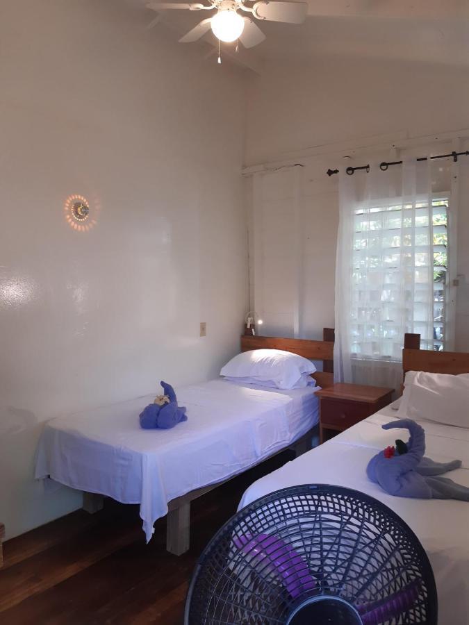 The Funky Dodo Backpackers Hostel Hopkins Exterior photo