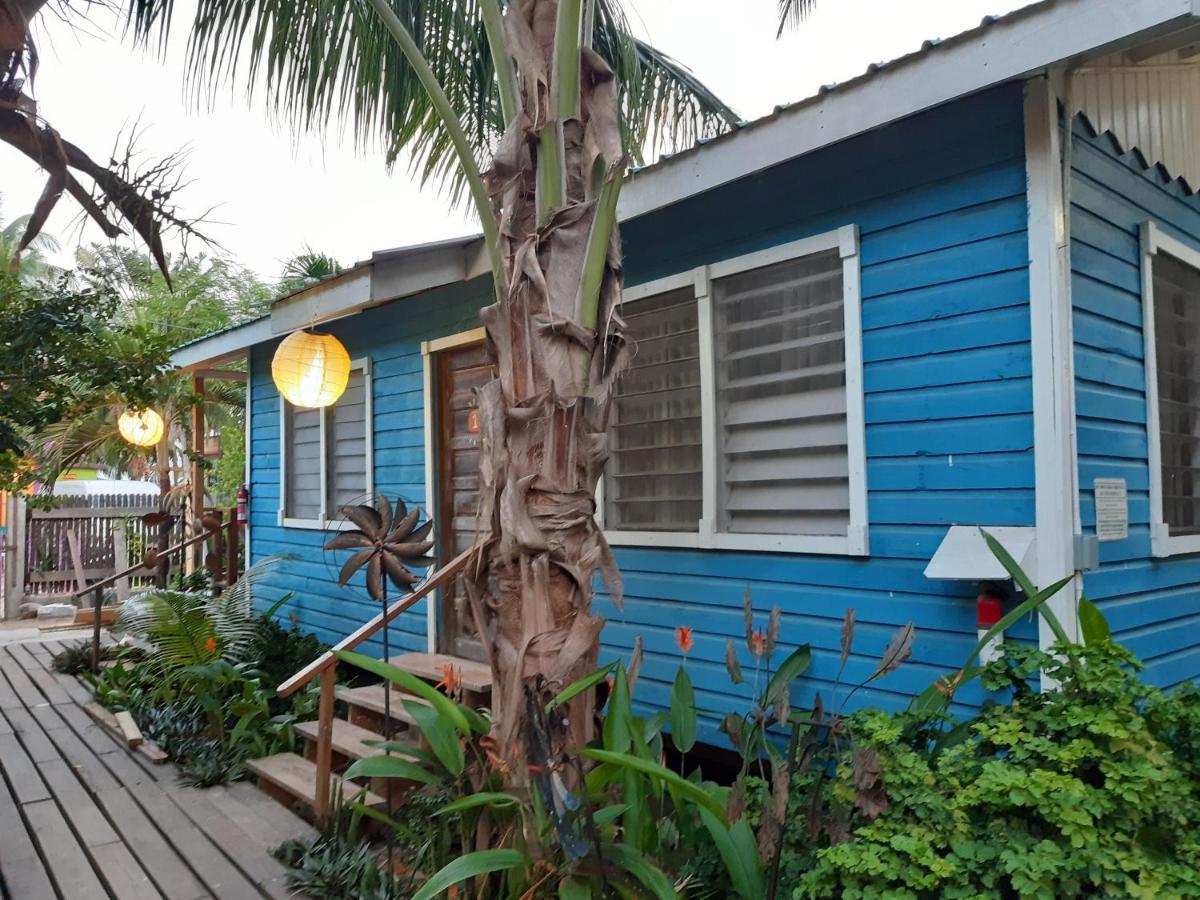 The Funky Dodo Backpackers Hostel Hopkins Exterior photo