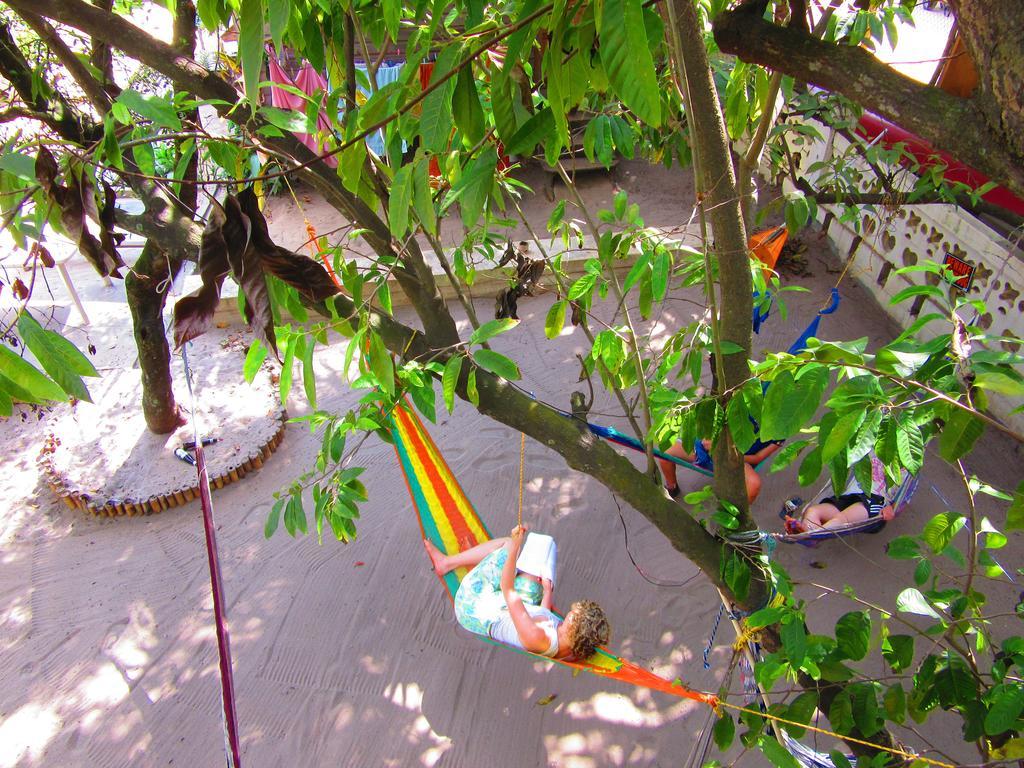 The Funky Dodo Backpackers Hostel Hopkins Exterior photo