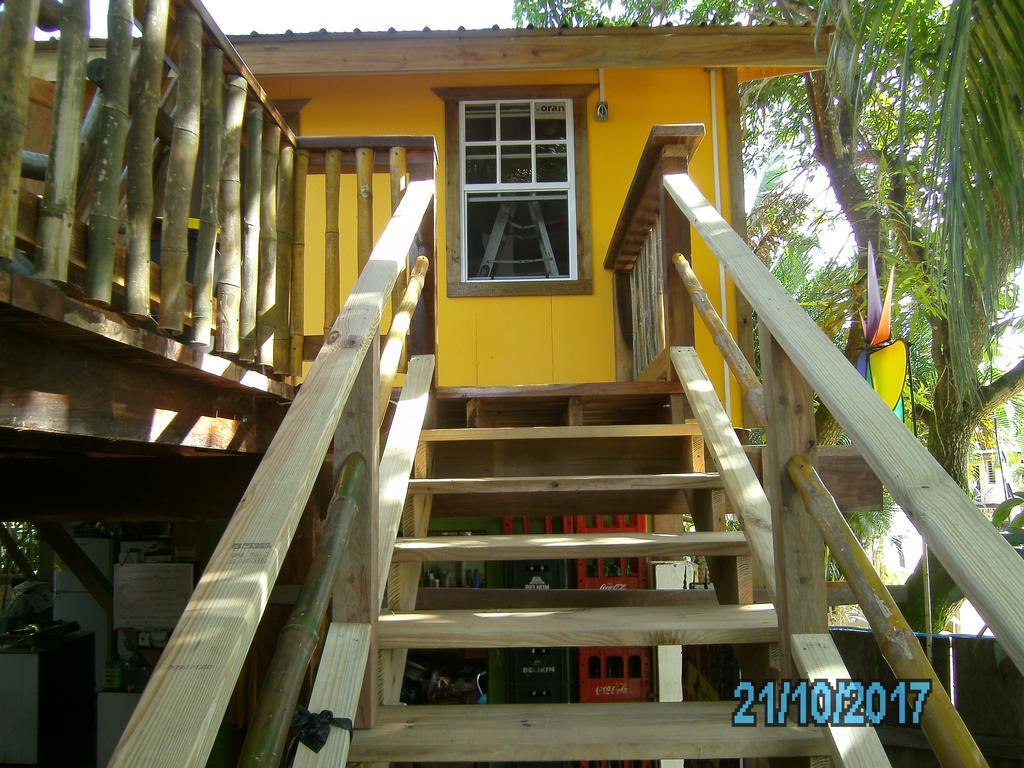 The Funky Dodo Backpackers Hostel Hopkins Exterior photo