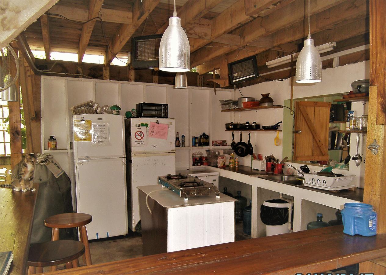 The Funky Dodo Backpackers Hostel Hopkins Exterior photo