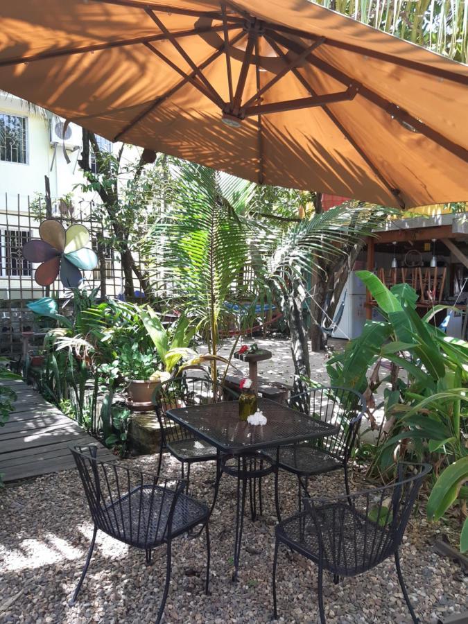 The Funky Dodo Backpackers Hostel Hopkins Exterior photo