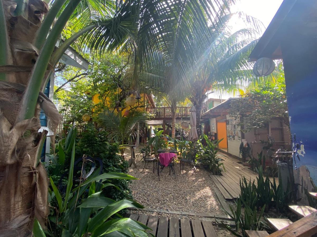 The Funky Dodo Backpackers Hostel Hopkins Exterior photo