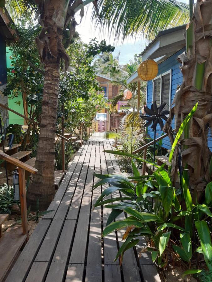 The Funky Dodo Backpackers Hostel Hopkins Exterior photo