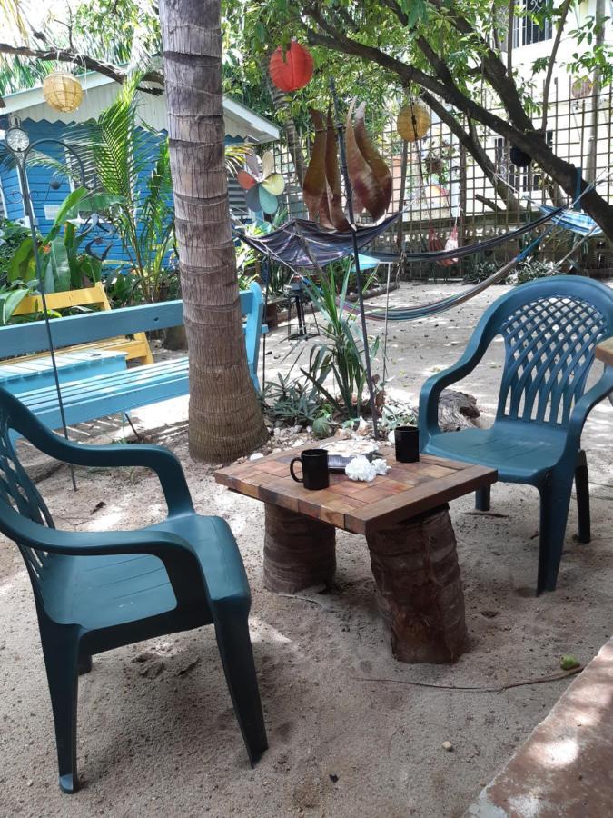 The Funky Dodo Backpackers Hostel Hopkins Exterior photo